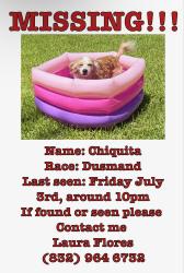 Lost Female Dog last seen Sunny side st, Houston, TX 77076