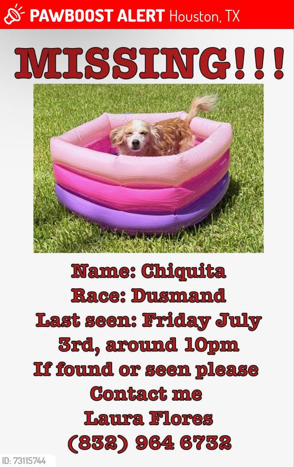 Lost Female Dog last seen Sunny side st, Houston, TX 77076