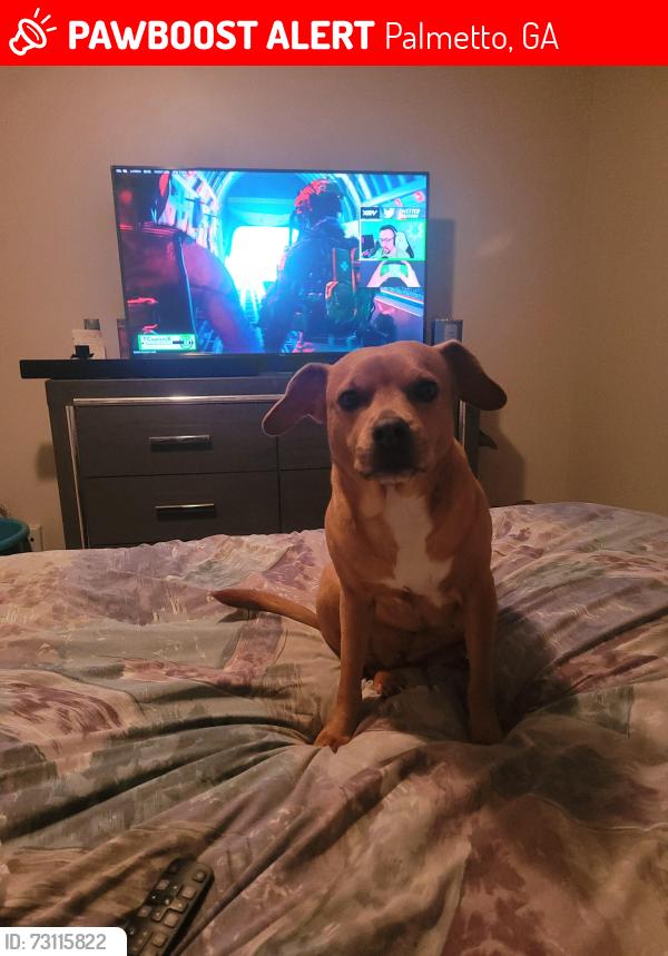 Lost Female Dog last seen Wilkerson mills, Palmetto, GA 30268