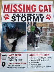 Lost Female Cat last seen In the field near FHS, Reisterstown, MD 21136