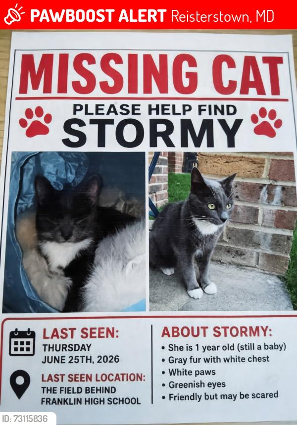 Lost Female Cat last seen In the field near FHS, Reisterstown, MD 21136