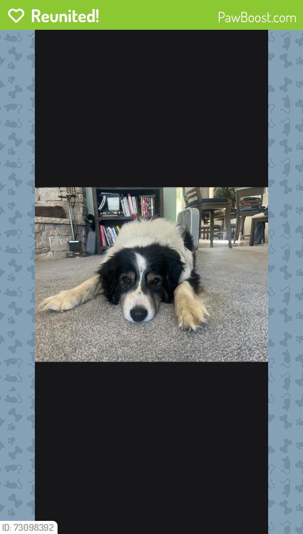 Reunited Male Dog last seen San miguel canyon rd, Prunedale, CA 95076