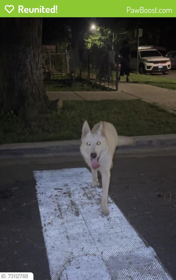 Reunited Unknown Dog last seen 28th Street and Trumbull, Chicago, IL 60623