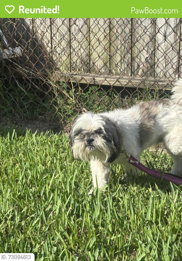 Reunited Male Dog last seen walking along side south alexander dr, Baytown, TX 77520