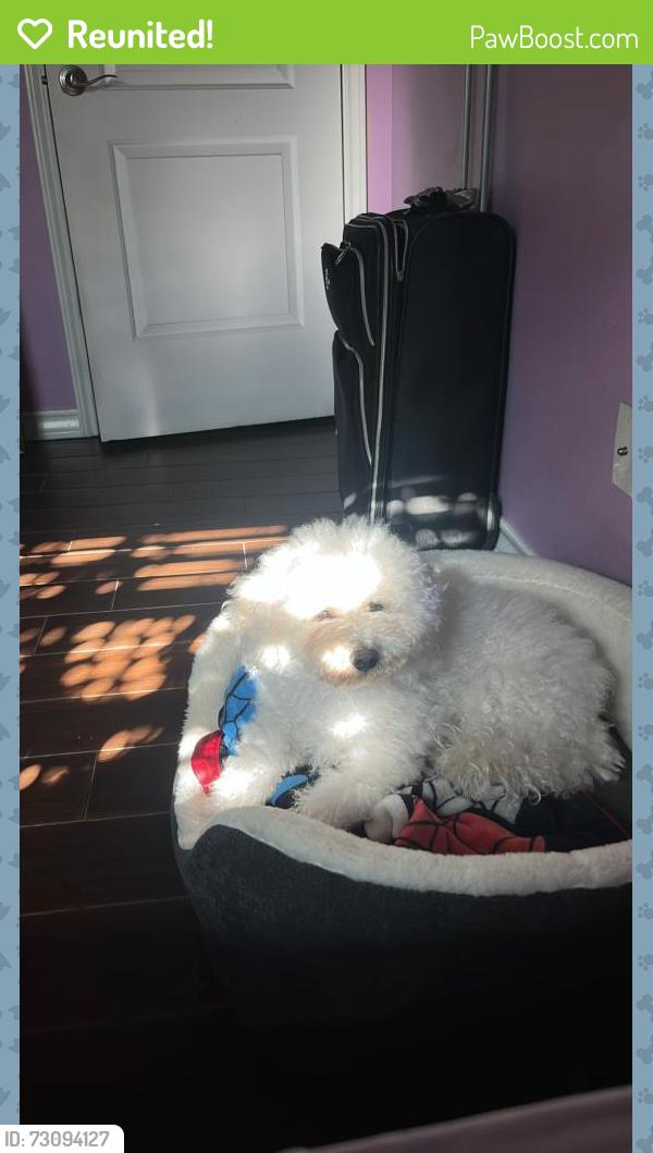 Reunited Male Dog last seen Near N forth worth, Midland, TX 79701