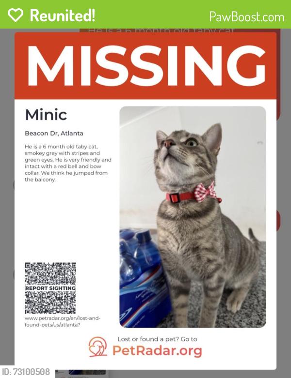 Reunited Male Cat last seen Near beacon dr, Sandy Springs, GA 30328