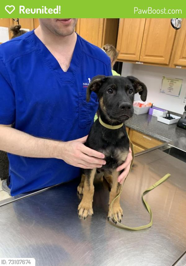 Reunited Male Dog last seen Near Waid Rd, Oneonta, AL 35121, USA, Oneonta, AL 35121
