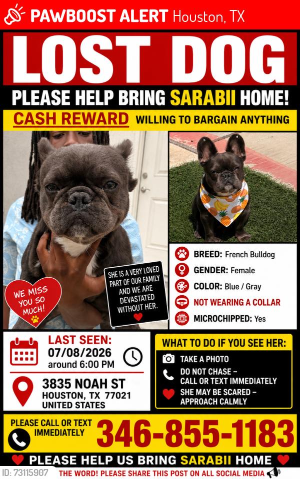 Lost Female Dog last seen Near Noah St Houston, Houston, TX 77021