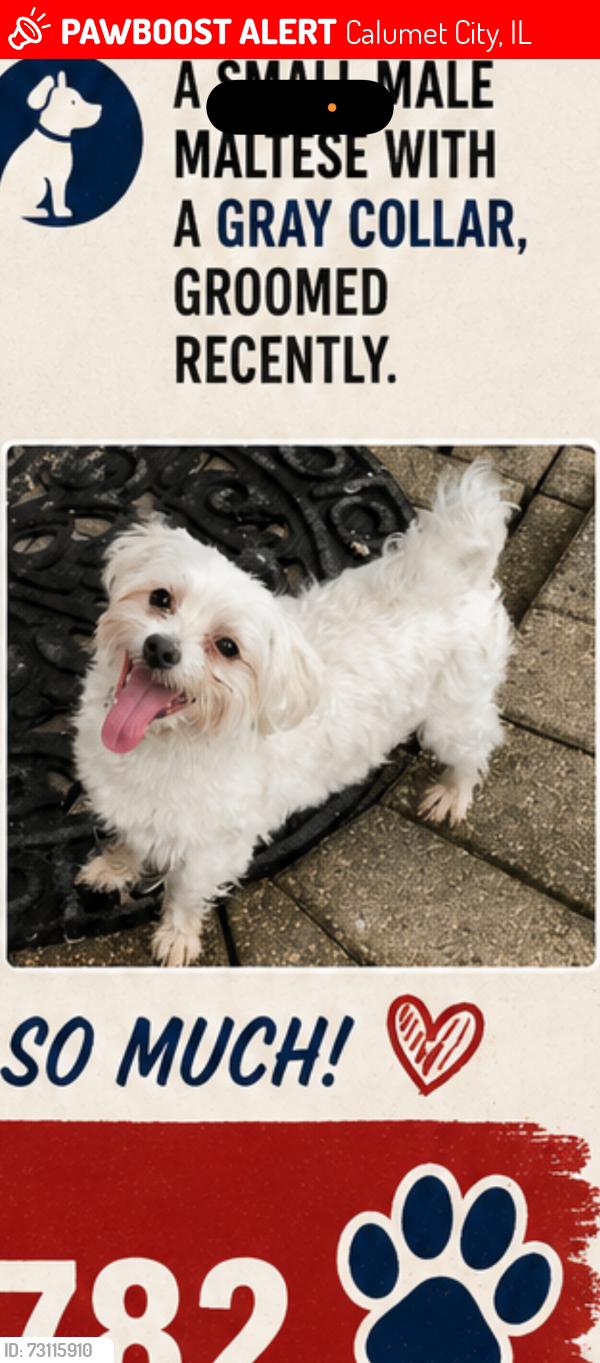 Lost Male Dog last seen Burnham, Calumet City, IL 60409