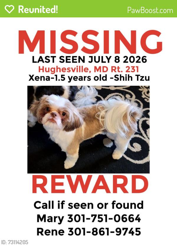 Reunited Female Dog last seen rt 231 and 381, Hughesville, MD 20637