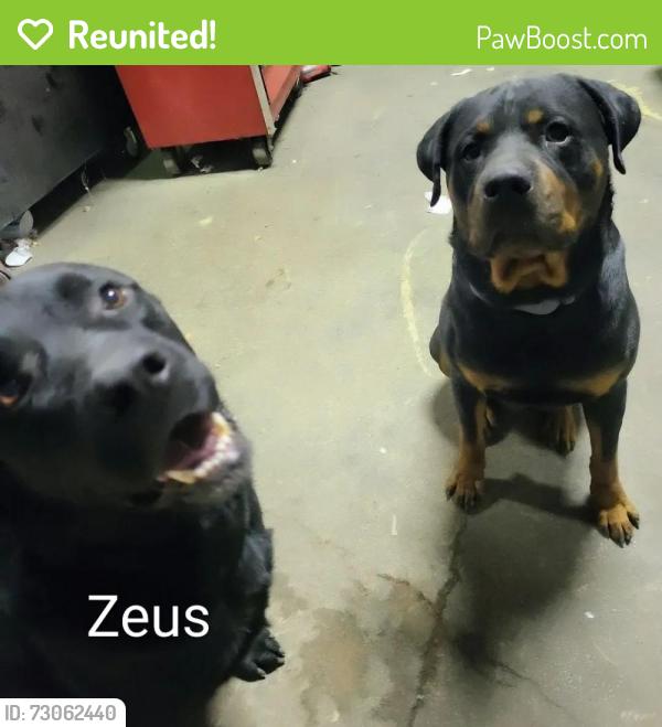 Reunited Male Dog last seen Cincinnati/I-10, San Antonio, TX 78201