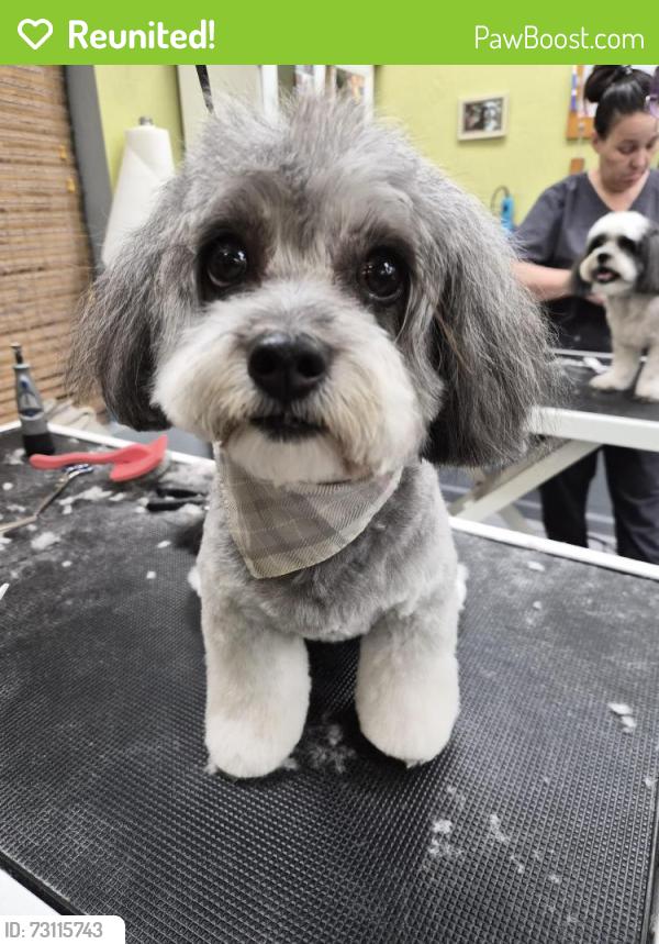 Reunited Female Dog last seen Near W Pepper Pl, Mesa, AZ 85201, USA, Mesa, AZ 85201