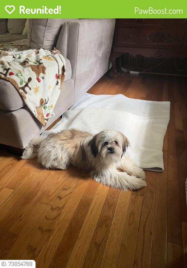 Reunited Male Dog last seen Georgia Gwinnett College, Collins Hill Road, Lendon Lane, Lawrenceville, GA 30043