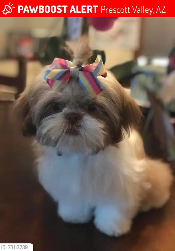 Lost Female Dog last seen E Manley Dr. Heading towards N Ranger Rd, Prescott Valley, AZ 86314