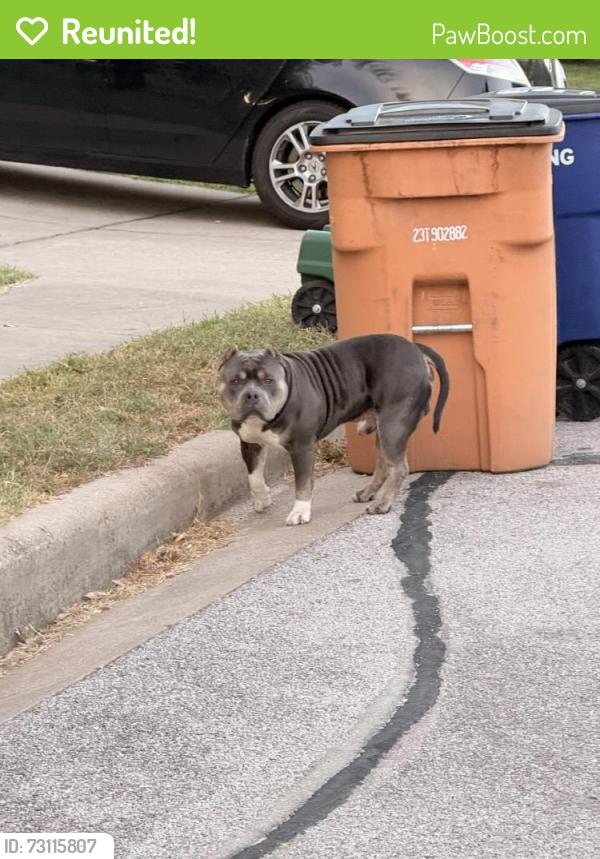 Reunited Male Dog last seen Clear Stream Xing, Austin, TX 78753