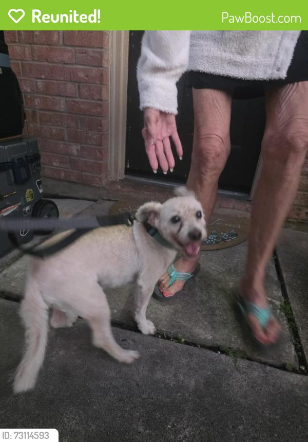 Reunited Male Dog last seen Found on bayou off of Hammersmith Dr, Lakewood Forest, TX 77377
