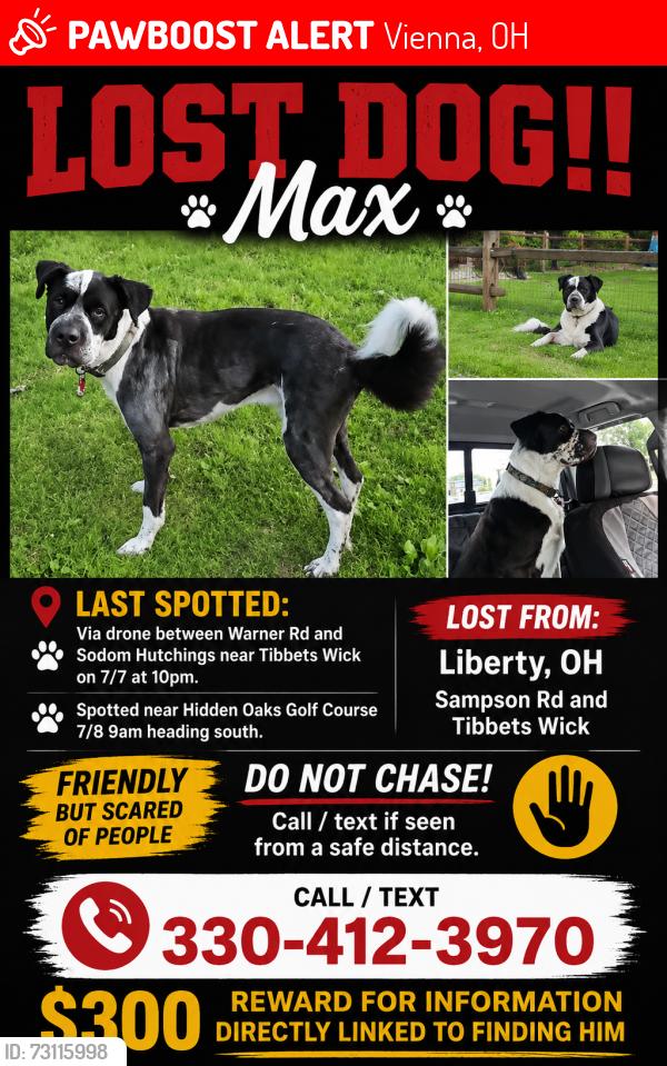 Lost Male Dog last seen Klines Dr, Girard, OH 44420