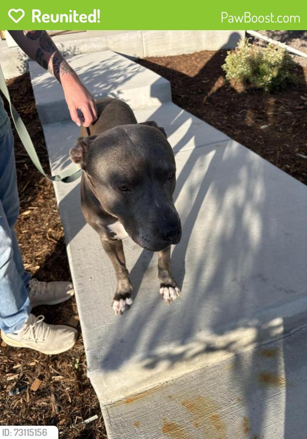 Reunited Male Dog last seen Trussville, Aurora, CO 80018