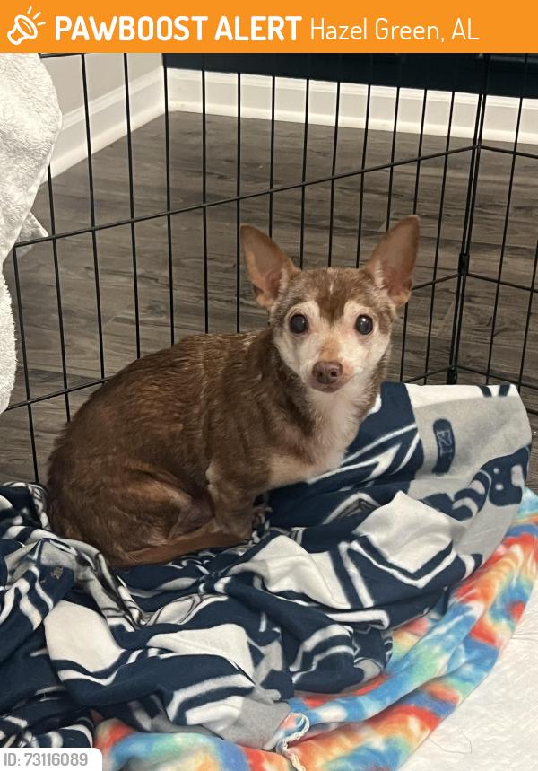 Found/Stray Male Dog last seen Near x Walker ln, Hazel Green, AL 35750