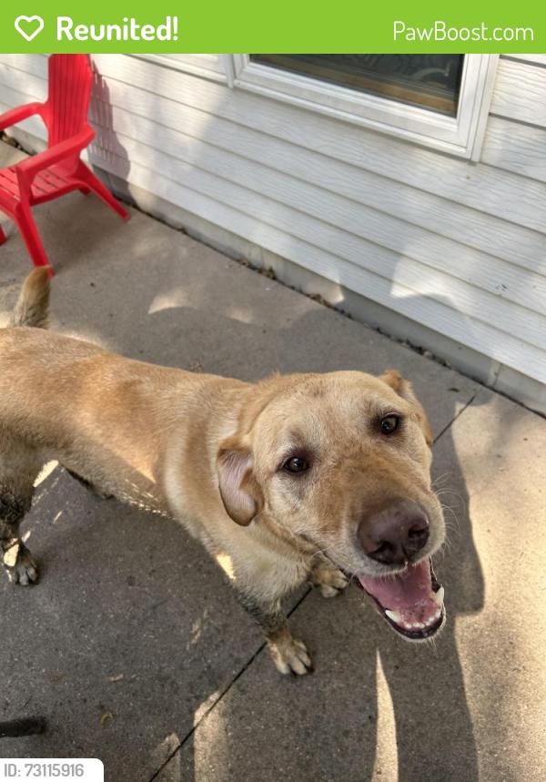 Reunited Unknown Dog last seen 23rd Street, Oakdale, MN 55128