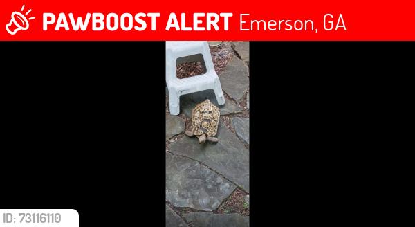 Lost Female Reptile last seen red top mountain road, waterside north gated community, Emerson, GA 30121