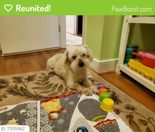 Reunited Male Dog last seen Bending Oak Dr and Spring Run, Midlothian, VA 23112