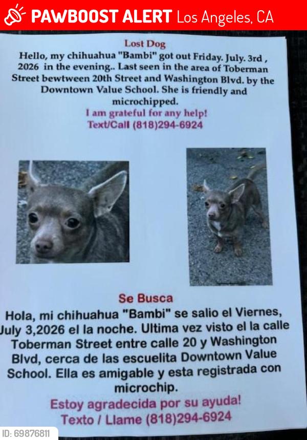 Lost Female Dog last seen Toberman St and 20th, Los Angeles, CA 90007