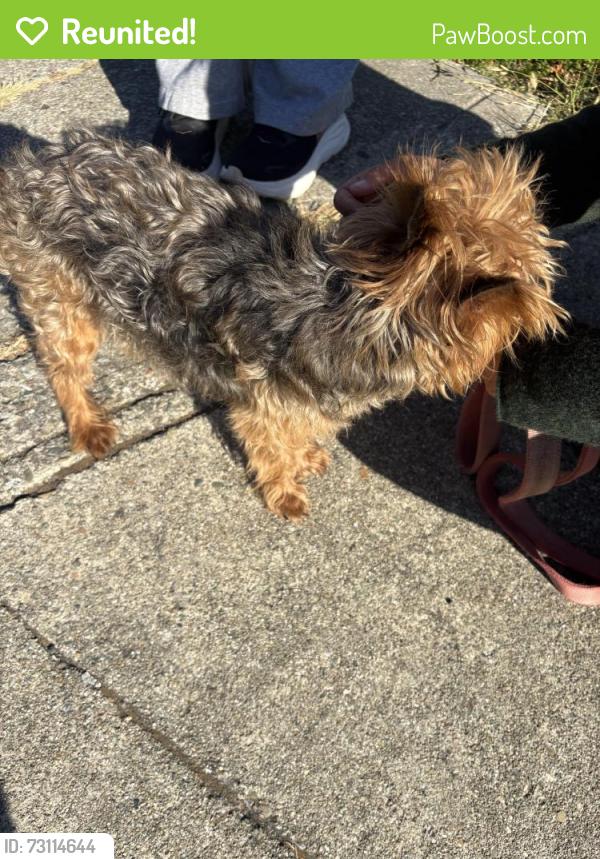 Reunited Unknown Dog last seen No land mark, El Sobrante, CA 94803