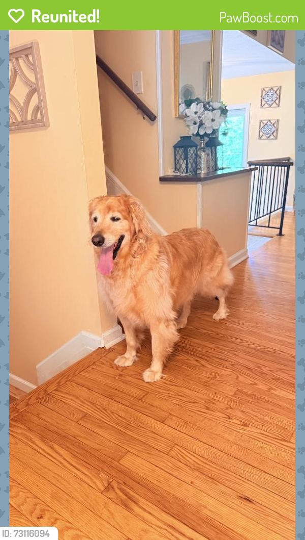 Reunited Male Dog last seen Asheville, NC, USA, Asheville, NC 28801