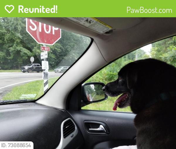 Reunited Male Dog last seen Family Lane and Alberta Road, Chesterfield County, VA 23832