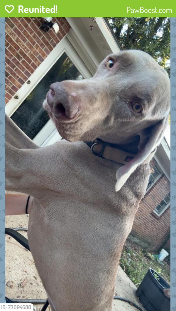 Reunited Male Dog last seen He was last seen around the Ann st exit, exit 3., Montgomery, AL 36109