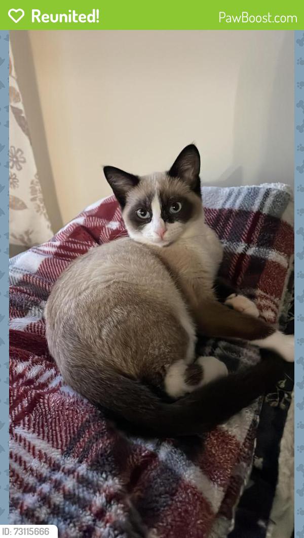 Reunited Male Cat last seen Near Trestle Glen Rd, Oakland, CA 94610, USA, Oakland, CA 94610