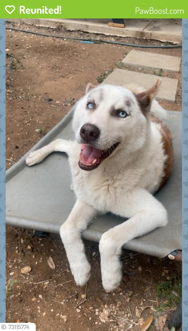 Reunited Male Dog last seen Pecan Valley, San Antonio, TX 78223