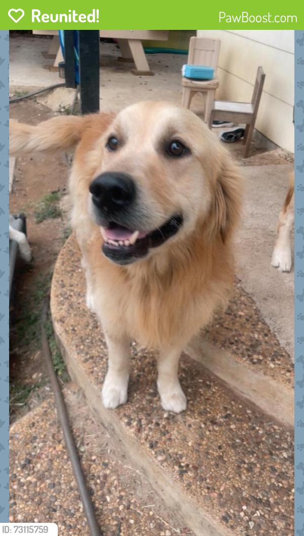 Reunited Male Dog last seen Near Cornish Ave, San Antonio, TX 78223