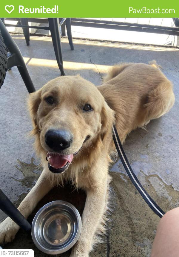 Reunited Male Dog last seen Near Cornish Ave, San Antonio, TX 78223