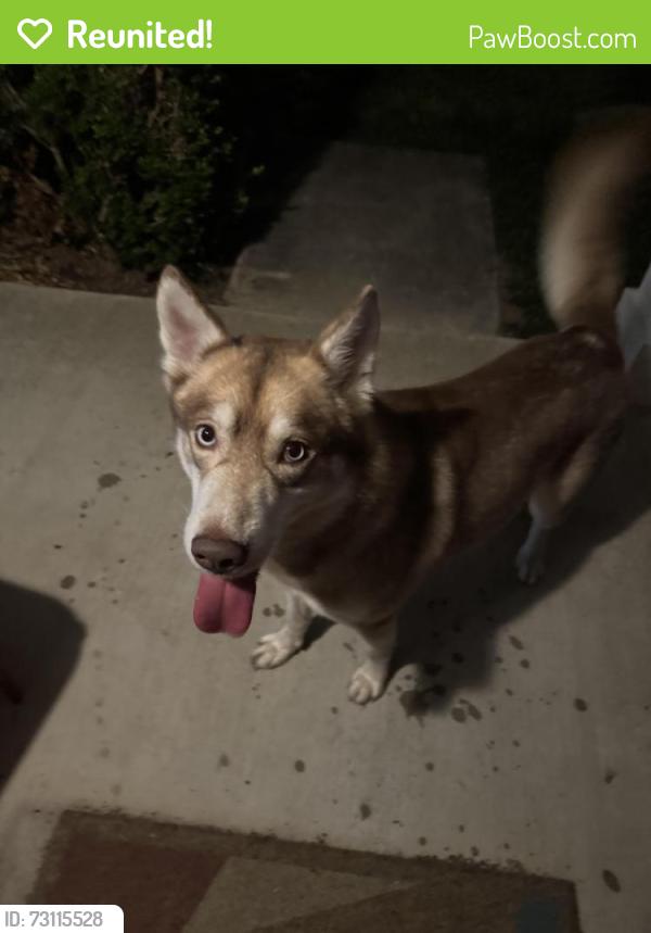 Reunited Male Dog last seen Windmill Hill Neighborhood - Springs Hill Cir., Seguin, TX 78155