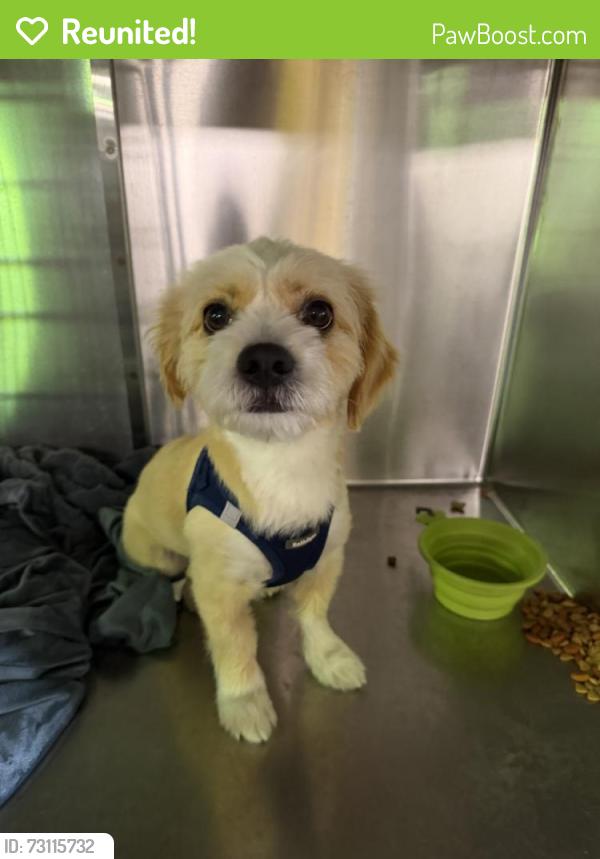 Reunited Male Dog last seen Joralemon St and Reservoir Pl, Belleville, NJ 07109