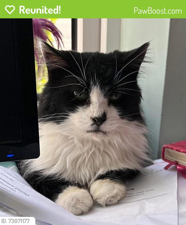 Reunited Male Cat last seen Newhall Nature Reserve, Birmingham, England B76