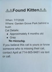 Reunited Unknown Cat last seen Garden Grove Park (9301 Westminster Blvd., Garden Grove, CA 92844), Garden Grove, CA 92844