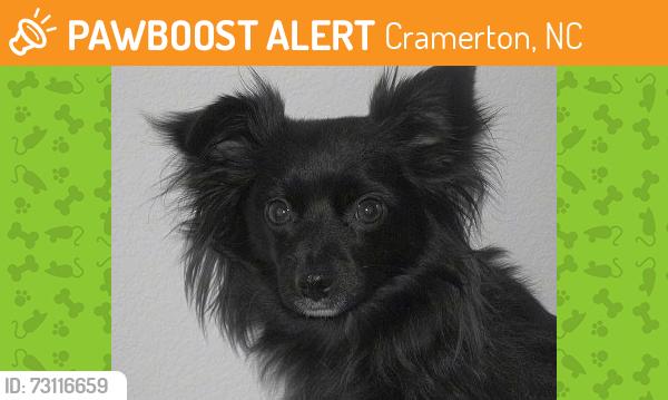 Found/Stray Unknown Dog last seen It was running towards the shell station in cramertonu, Cramerton, NC 28101