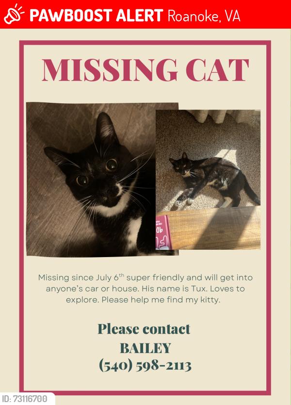 Lost Male Cat last seen Crowell gap road, Roanoke, VA 24014