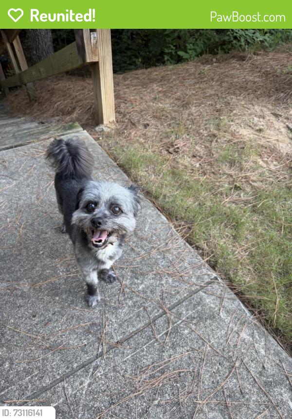 Reunited Male Dog last seen 5380Vinings L ake View SW, Mableton, GA 30126, Mableton, GA 30126