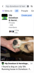 Found/Stray Male Dog last seen Elm Hill Pike and McGavock Pike, Nashville, TN 37214