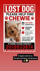 Lost Male Dog last seen Shadow hills 32825, Orlando, FL 32825