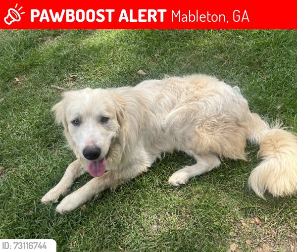 Lost Male Dog last seen Mableton, Mableton, GA 30126