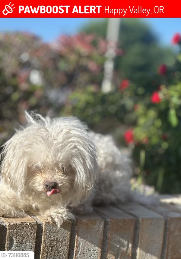 Lost Male Dog last seen Johnsoncreek, Happy Valley, OR 97086
