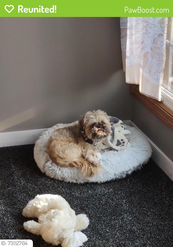 Reunited Male Dog last seen Near and GP easterly, West Farmington, OH 44491
