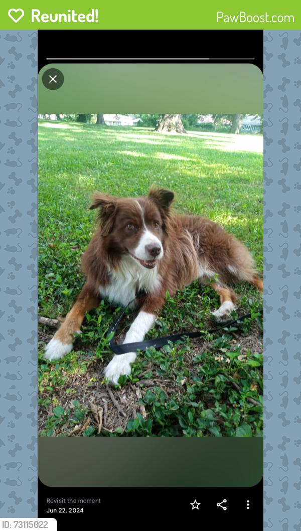 Reunited Male Dog last seen Copper creek, Des Moines, IA 50317