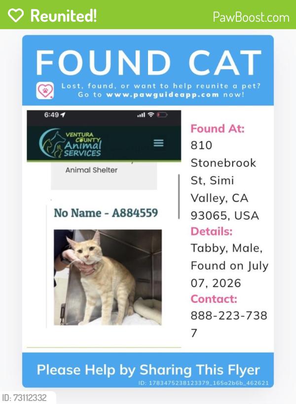 Reunited Male Cat last seen Stonebrook and First Streets, Simi Valley, CA 93065