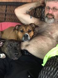 Reunited Female Dog last seen Brittan Rd, Akron, OH 44305